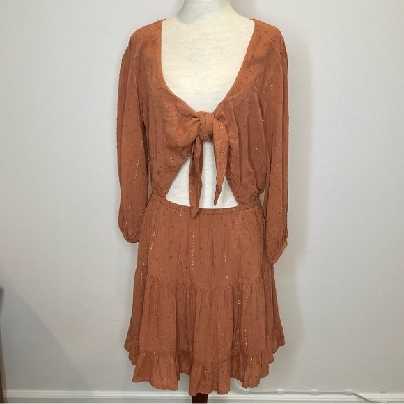 L*Space Stay Golden Mini Dress  in Brown XSmall - Picture 2 of 13